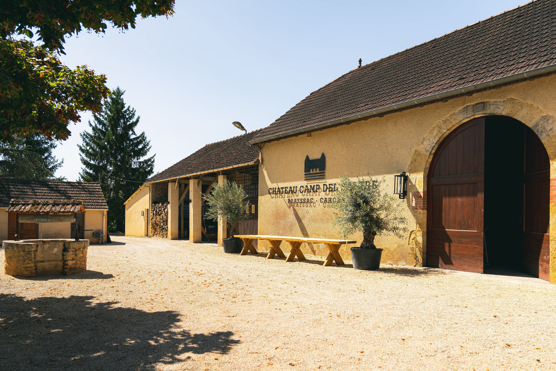 Waar let je op bij het kopen van Franse wijn?