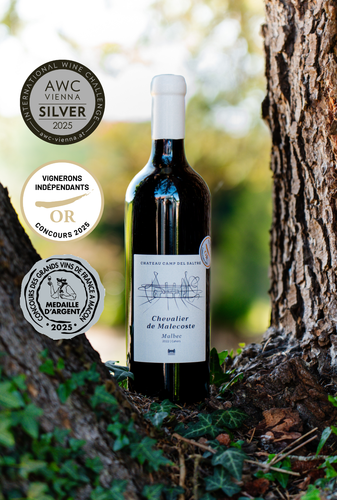 2022 - Chevalier de Malecoste