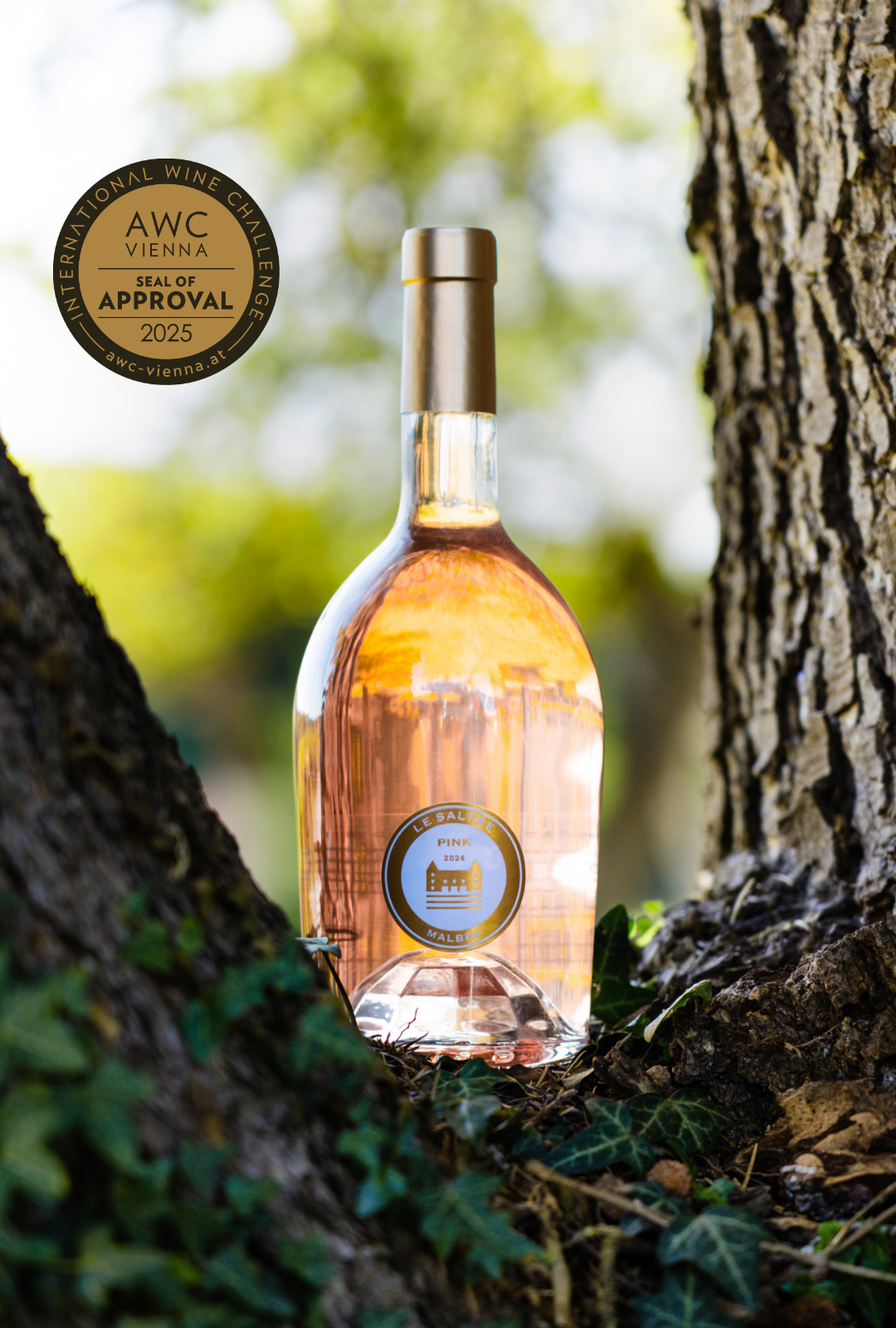 2024 - Le Saltre Pink