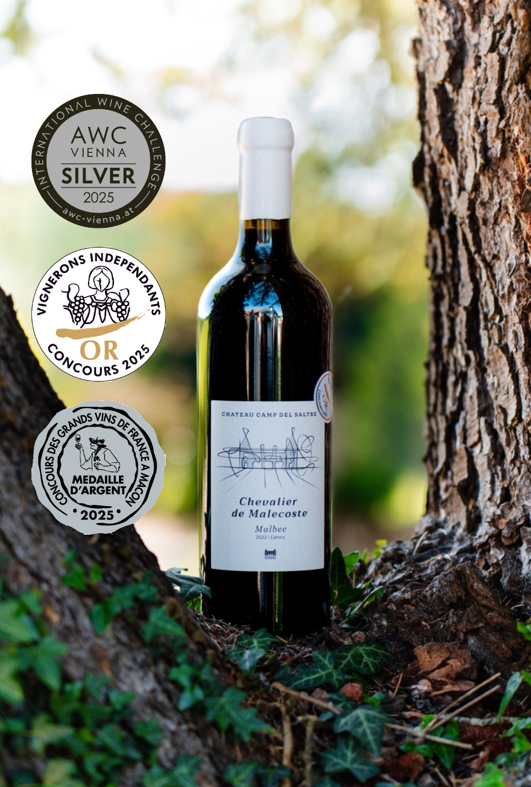 2022 - Knight of Malecoste