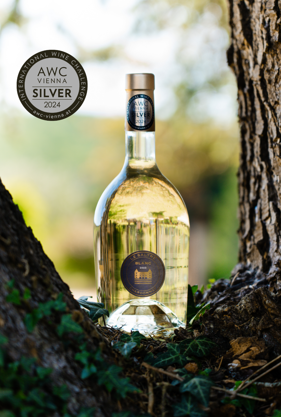 2024 - Le Saltre Blanc